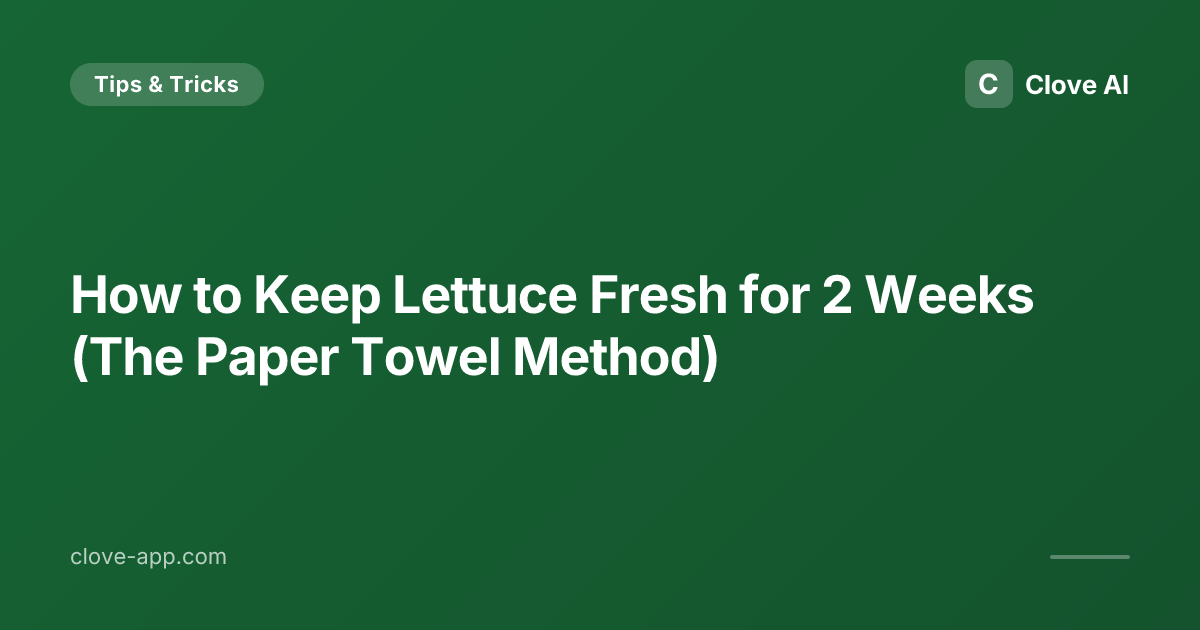 Paper Letuce How to Keep Lettuce Fresh for 2 Weeks (The Paper Towel Method) · Clove AI